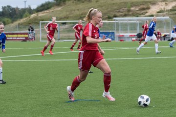Bild 274 - F FSG Kaltenkirchen - SV Wahlstedt : Ergebnis: 6:1